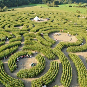 Labyrinthe de Durbuy